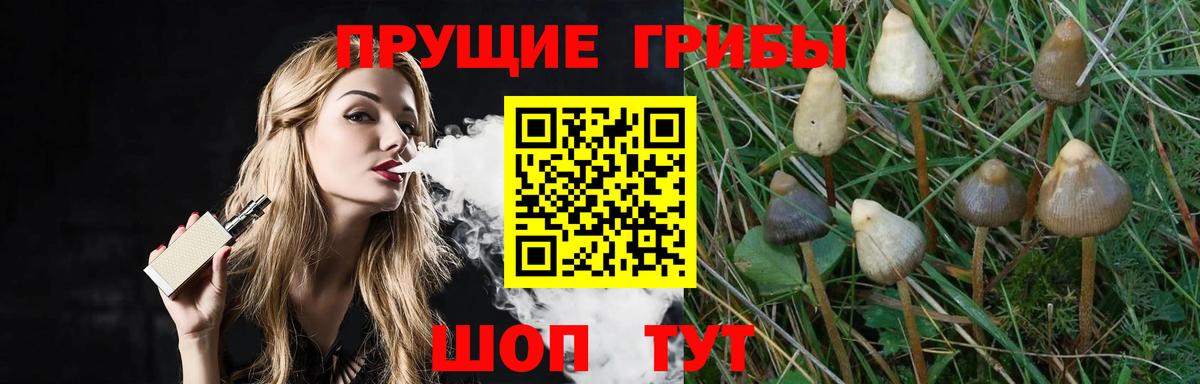 Мелеуз  Галлюциногенные грибы MAGIC MUSHROOMS  Вход с VPN 